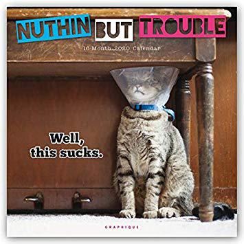 美国库房发货,通常付款后5-8周到货!