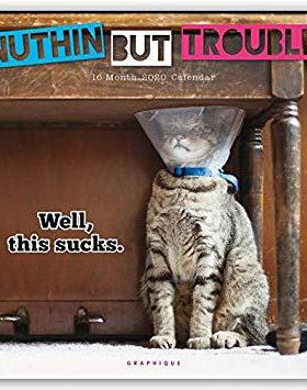 【预售】Nuthin’ but Trouble 2020 Square Wall Calendar