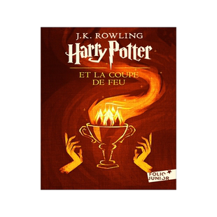 法语原版 哈利波特与火焰杯 初版封面 绝版 J.K.罗琳 Harry Potter IV Harry Potter et la Coupe de Feu