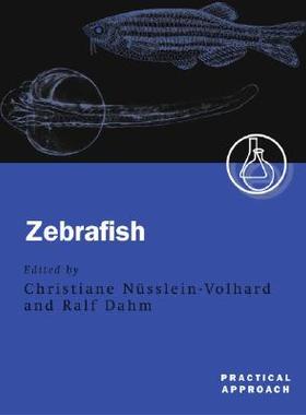 【预售】Zebrafish