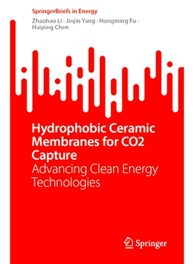 预订 Hydrophobic Ceramic Membranes for CO2 Capture: Advancing Clean Energy Technologies 用于 CO2捕获的疏水陶瓷膜：推进清