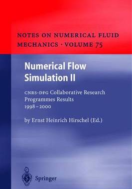 【预订】Numerical Flow Simulation II