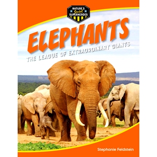 League The Extraordinary 9781668956380 预订 Giants Elephants