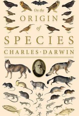 [预订]On the Origin of Species;Or; The Preservation of the Favoured Races in the Struggle for Life 9781528705608