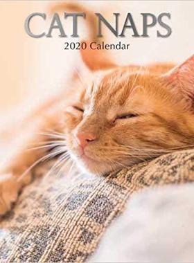 【预售】Cat Naps : 2020 Square Wall Calendar