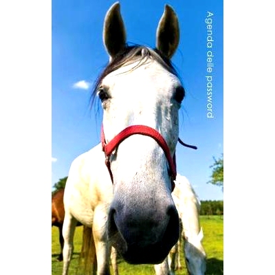 预订 Agenda delle password: Agenda degli indirizzi web e delle password di accesso - Copertina cavallo curioso: 97815427