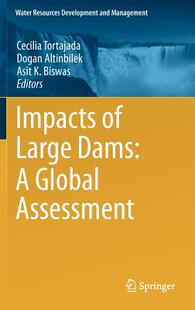 Assessment Impacts Global Dams 预订 Large