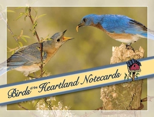 Heartland 预订 the Notecards Birds
