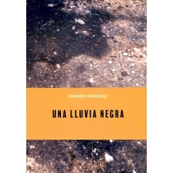预订 Ricardo González: una lluvia negra 里卡多·冈萨雷斯：黑雨: 9788419265234