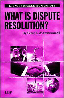【预售】What is Dispute Resolution?