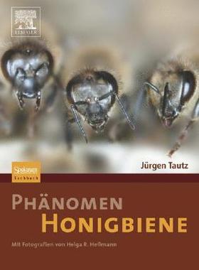 预订 Phänomen Honigbiene