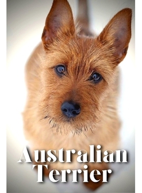 预订 Australian Terrier: How to train your dog and raise from puppy correctly: 9798864925751