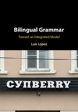 【预订】Bilingual Grammar