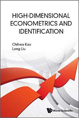 【预售】High Dimensional Econometrics and Identification