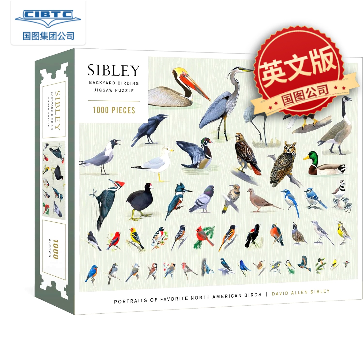 现货 西布利后院观鸟拼图 北美鸟类插画 1000片 英文原版 进口周边 Sibley Backyard Birding Puzzle: 1000-Piece Jigsaw