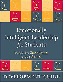 【预售】Emotionally Intelligent Leadership f...