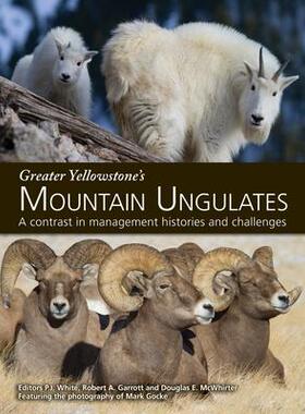 [预订]Greater Yellowstone’s Mountain Ungulates: A Contrast in Management Histories and Challenges: A 9780578926391