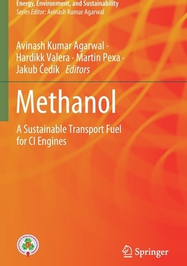 【预订】Methanol 9789811612824