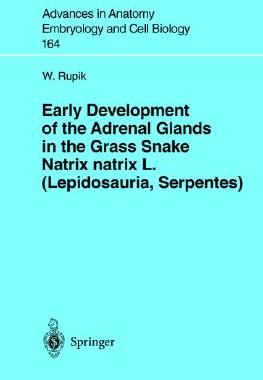 【预订】Early Development of the Adrenal Glands in the Grass Snake Natrix natrix L. (Lepidosauria, Serpentes)