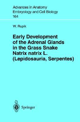 【预订】Early Development of the Adrenal Glands in the Grass Snake Natrix natrix L. (Lepidosauria, Serpentes)