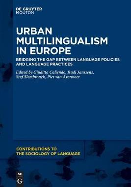 [预订]Urban Multilingualism in Europe 9781501526671