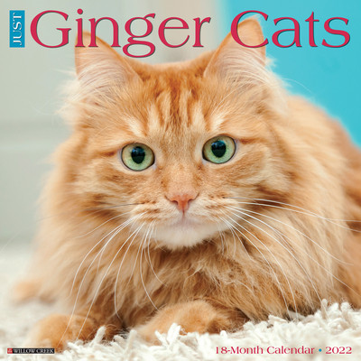 【预订】Just Ginger Cats 2022 Wall Calendar (Cat Breed) 9781549218057