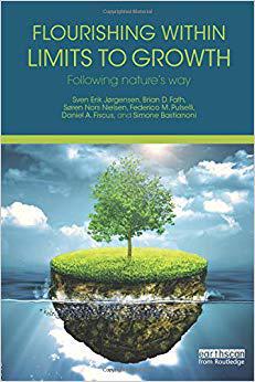 【预售】Flourishing Within Limits to Growth