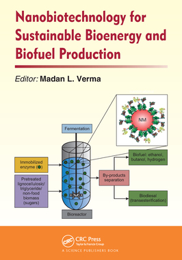 预订 Nanobiotechnology for Sustainable Bioenergy and Biofuel Production