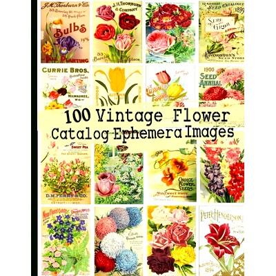 预订 100 Vintage Flower Catalog Ephemera Images: 9798682272297
