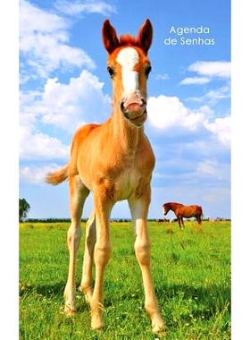 预订 Agenda de Senhas: Agenda Para Enderecos Eletronicos E Senhas: Capa Potro Bonito - Portugues (Brasil): 9781542924726