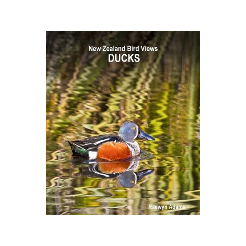[预订]New Zealand bird views: ducks 9780473312855