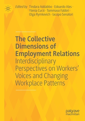 【预订】The Collective Dimensions of Employment Relations: Interdisciplinary 9783030755348