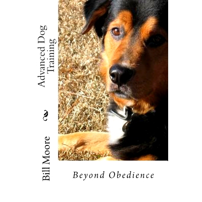 预订 Beyond Obedience - Advanced Dog Training: 9781481281096