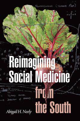 [预订]Reimagining Social Medicine from the South 9781478013365