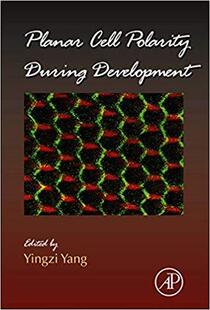 【预售】Planar Cell Polarity During Development