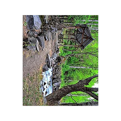 Wood Pedestrian Covered Bridge in the Forest Journal: Take Notes, Write Down Memories in This 150 Pa