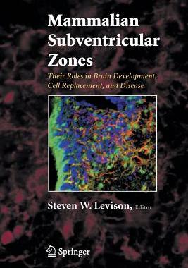 【预订】Mammalian Subventricular Zones