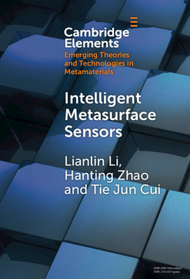 预订 Intelligent Metasurface Sensors