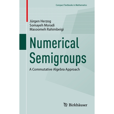预订 Numerical Semigroups: A Commutative Algebra Approach 数值半群：交换代数方法: 9783032054234