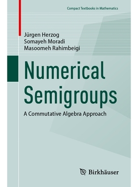 预订 Numerical Semigroups: A Commutative Algebra Approach 数值半群：交换代数方法: 9783032054234