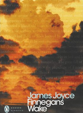费尼根的守灵夜 Finnegans Wake 詹姆斯·乔伊斯 James Joyce 企鹅经典 英文原版