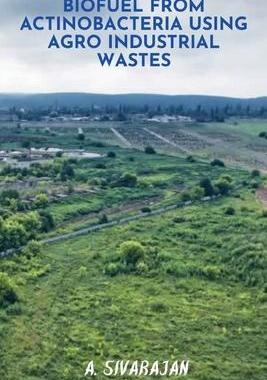 [预订]BioFuel From Antinobacteria using Agro Industrial Wastes 9787793048495