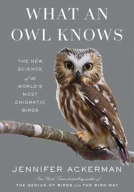 [预订]What an Owl Knows: The New Science of the World’s Most Enigmatic Birds 9780593298886