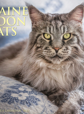 【预订】Just Maine Coon Cats 2022 Wall Calendar (Cat Breed) 9781549218774