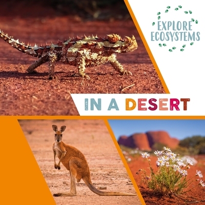 预订 Explore Ecosystems: In a Desert 探索生态系统：在沙漠中: 9781526322500