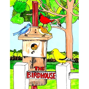 预订 The Birdhouse: What happened to the birdhouse?: 9781546310037