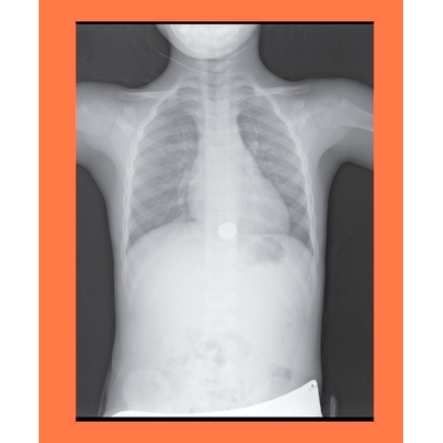 预订 Jill Magid: Tender 吉尔·马吉德：投标：平衡: 9780941548847