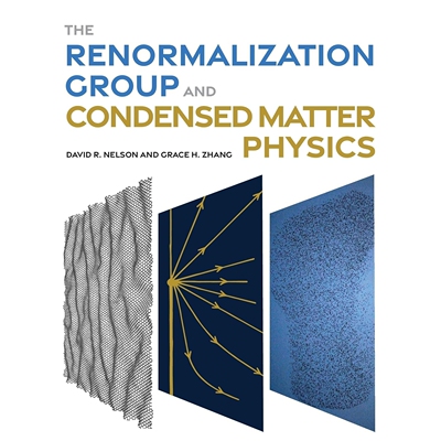 预售 The Renormalization Group and Condensed Matter Physics 重整群理论与凝聚态物理学: 9780691257907