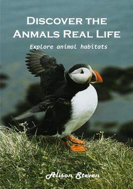 [预订]Discover the animal’s real life Explore: Explore animal habitats 9781803100654
