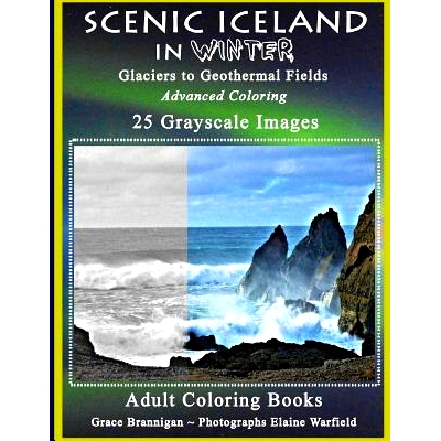 预订 Scenic Iceland in Winter: Glaciers to Geothermal Fields: Advanced Coloring 25 Grayscale Images: 9781530319503
